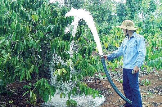 Máy bơm nước đã hỗ trợ người dân trong việc trồng trọt