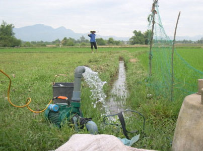 CHỌN MUA MÁY BƠM ĐỒNG RUỘNG