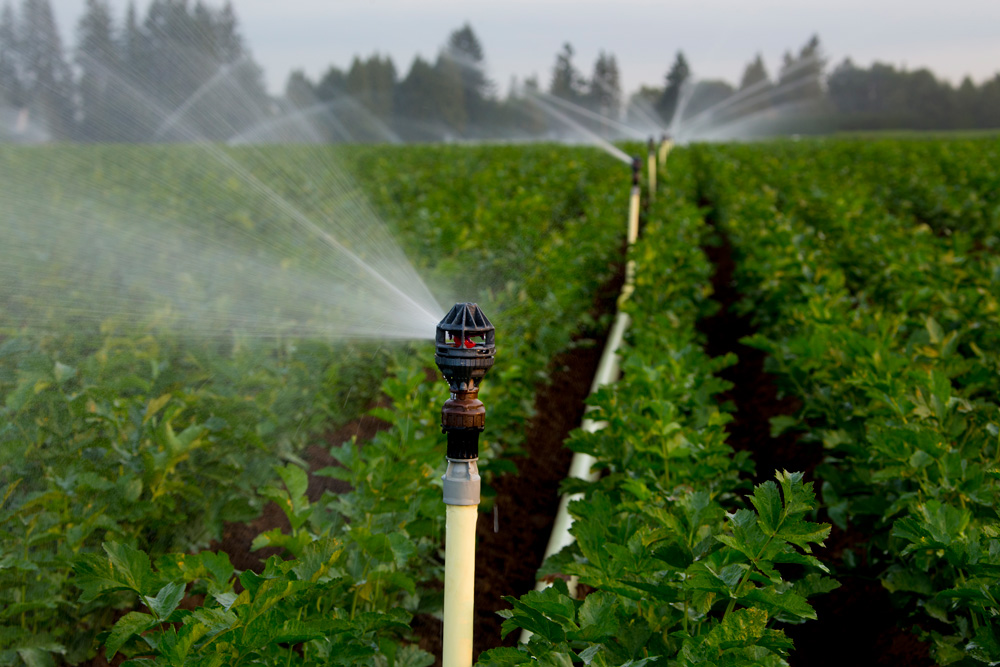 Lựa chọn nhu cầu sử dụng máy bơm nước phù hợp