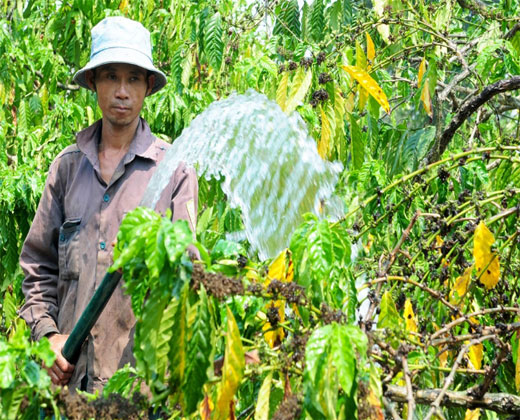 MÁY BƠM NƯỚC TƯỚI TIÊU TRONG NÔNG NGHIỆP