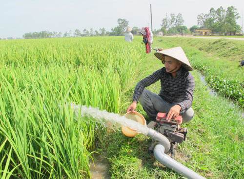 TÌM HIỂU MÁY BƠM NƯỚC ĐỒNG RUỘNG NTP